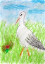 Pompurová Kamila.jpg